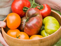 bowl of ripe multi-colored tomatoes