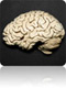 health encyclopedia tool