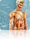 symptom checker tool