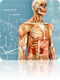 symptom checker tool