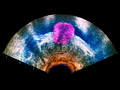 Ultrasound enhanced image of a prostate tumor