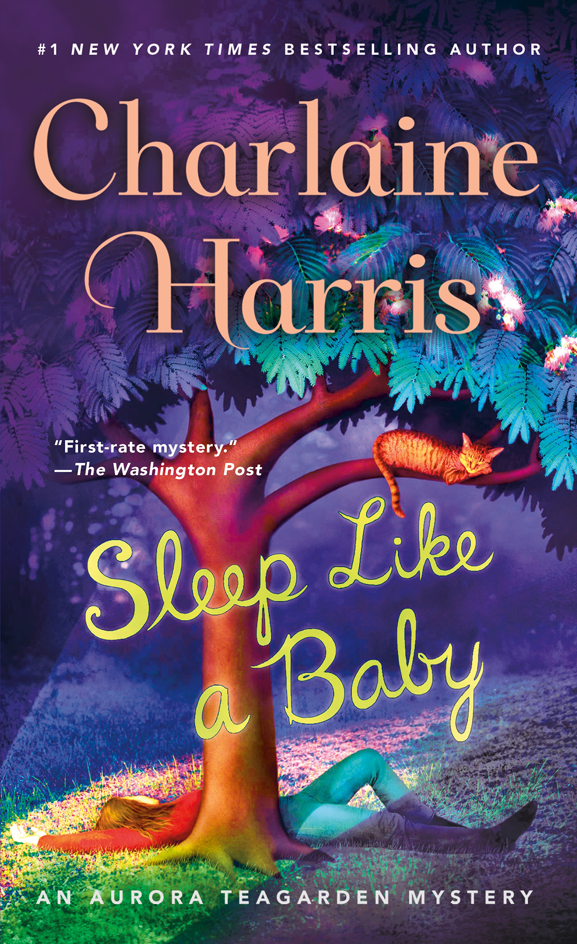The Popularity of Cozy Mysteries and 13 We Recommend