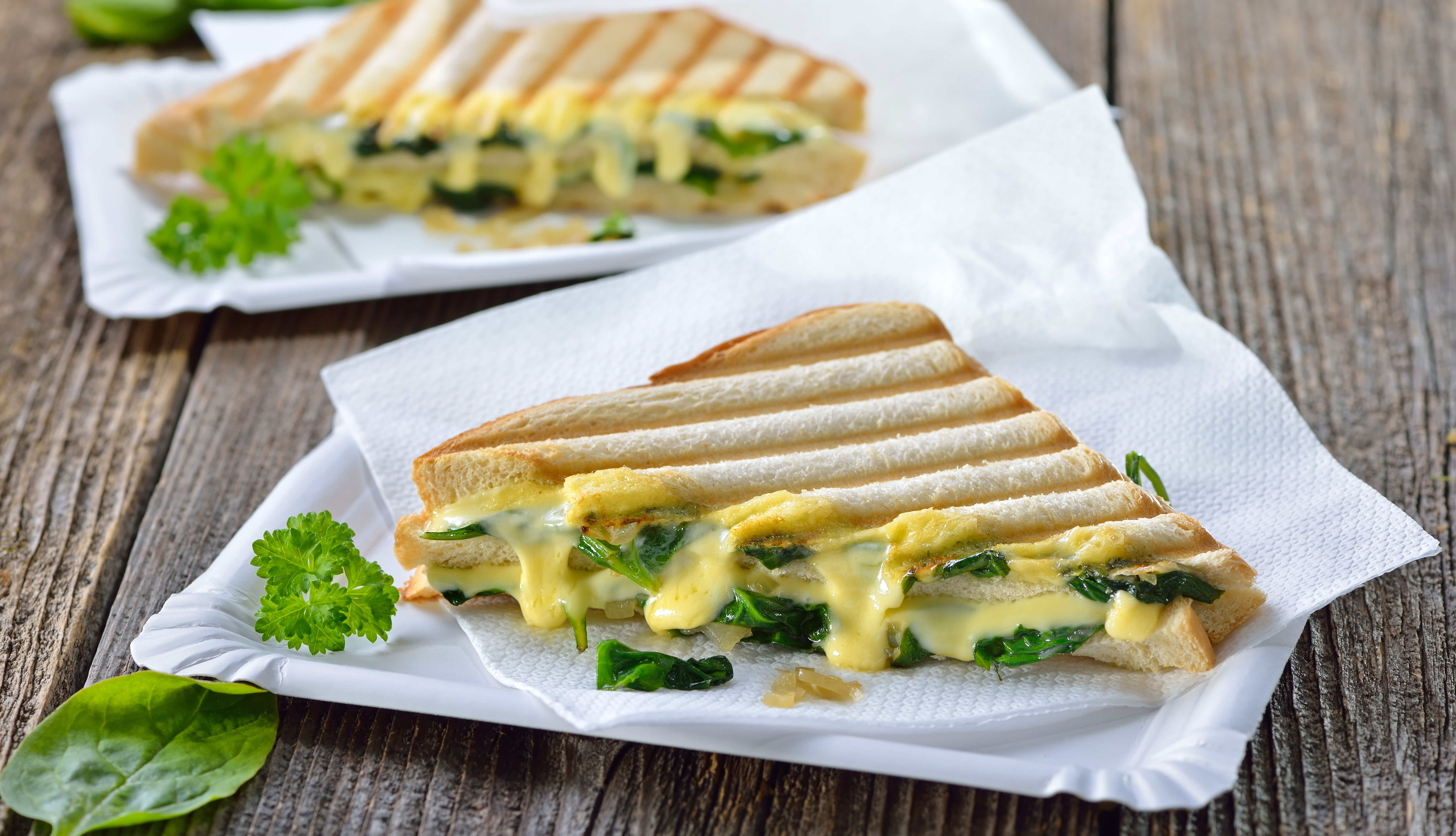 Sándwiches de queso a la plancha para adultos