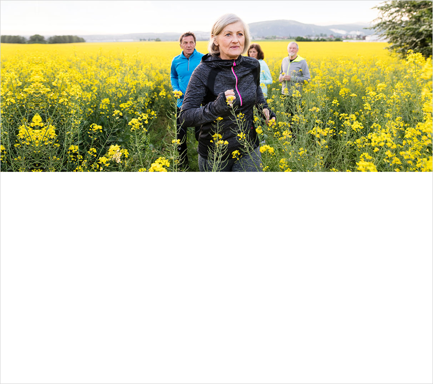 Shopping and Groceries: AARP Member Benefits