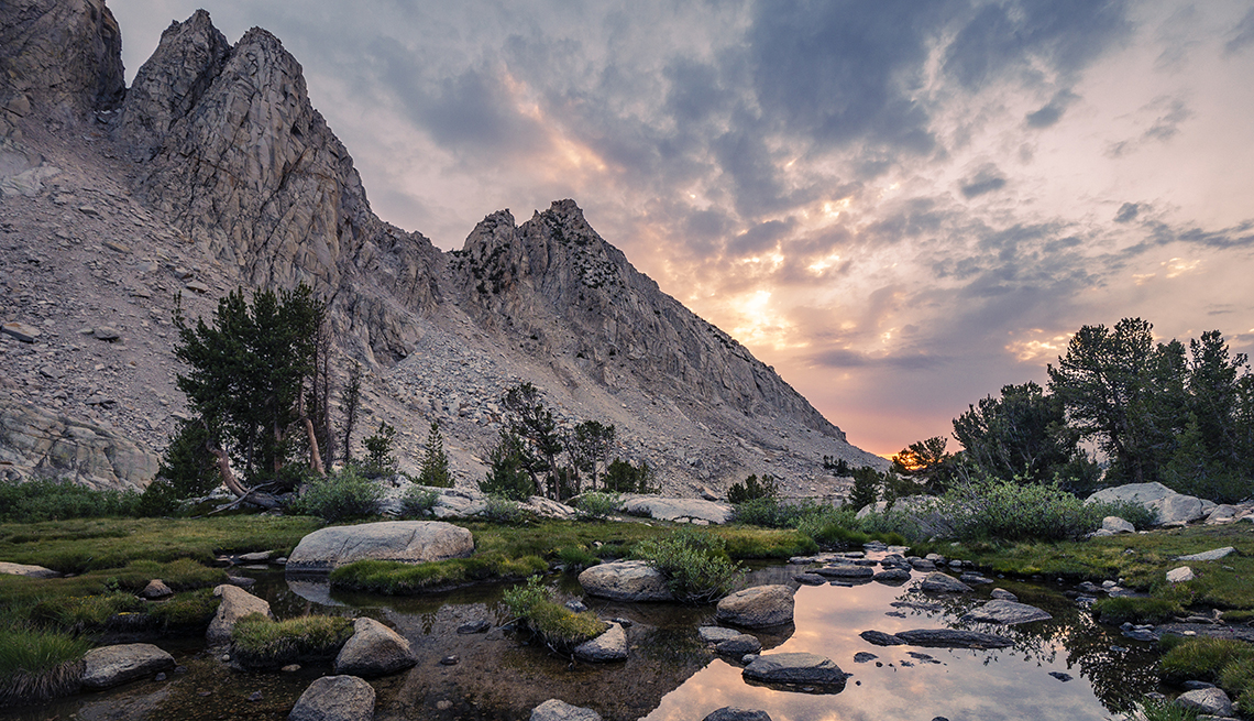 Are Dogs Allowed In Kings Canyon National Park