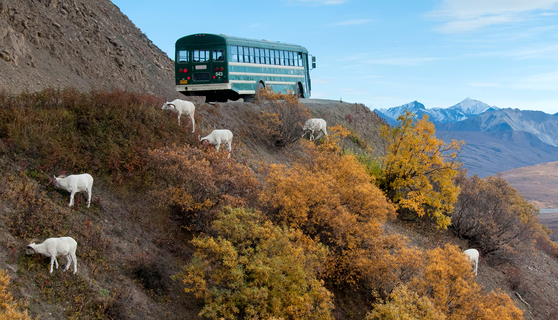 Bus trips to national parks 60 photos - Travelerscast.com