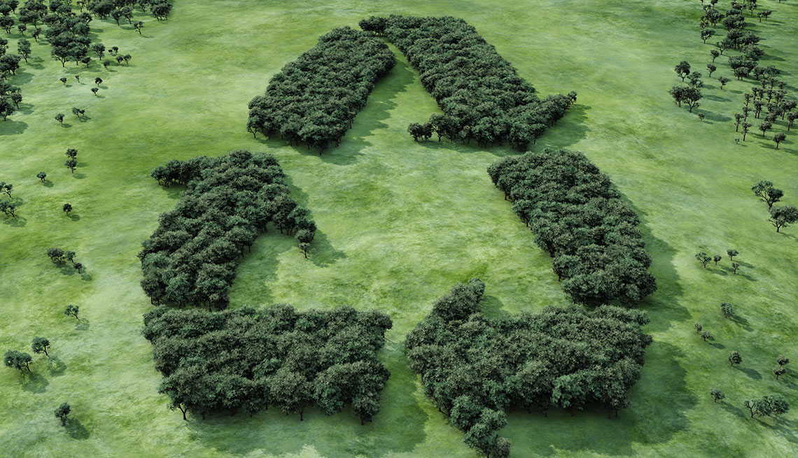 Símbolo de reciclaje hecho con arbustos en un campo natural.
