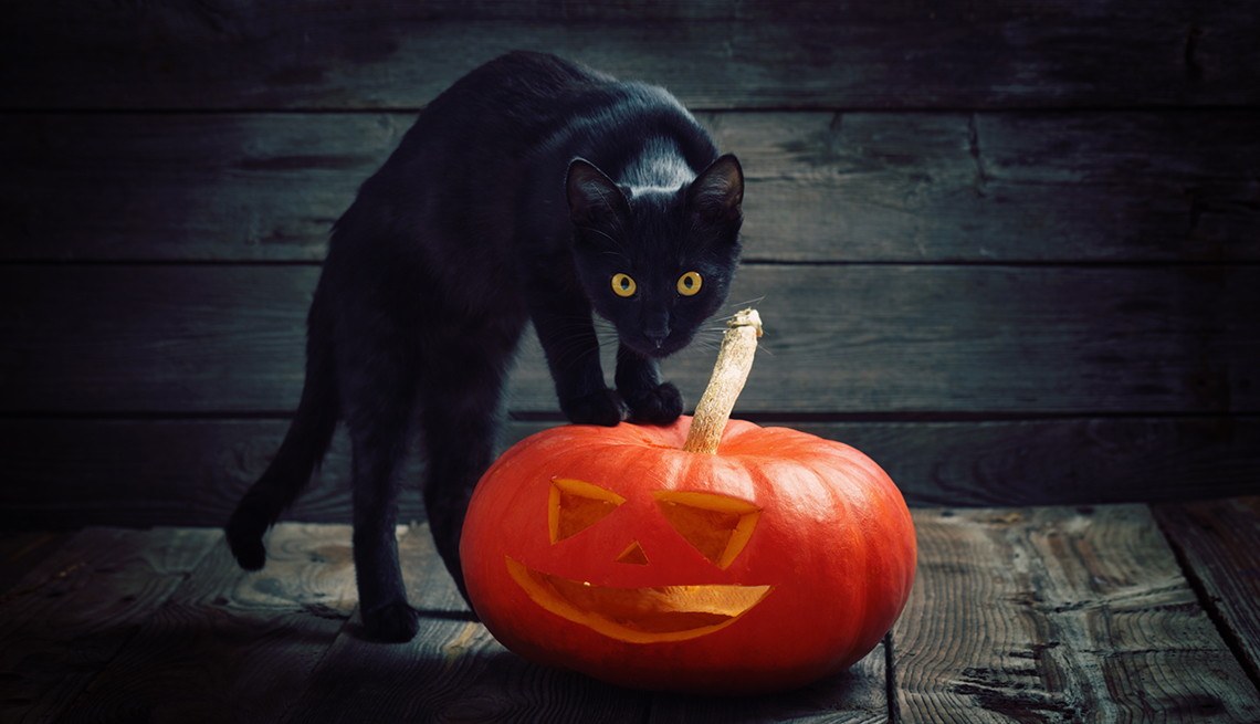 Una calabaza y un gato negro