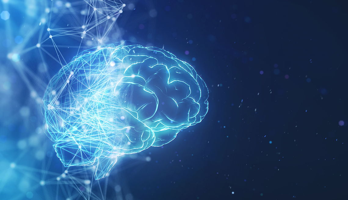 Ilustración de un cerebro humano