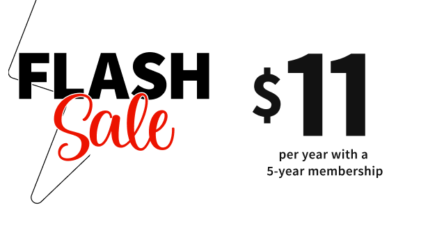 Flash Sale Offer Image